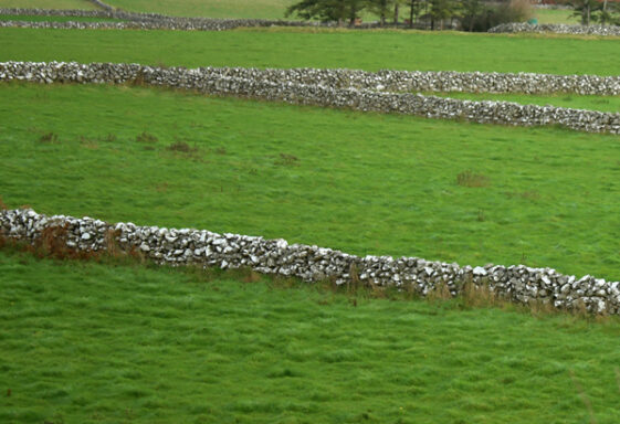 Stone walls, ditches and dykes.