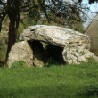 Kilbeg Wedge Tomb.
