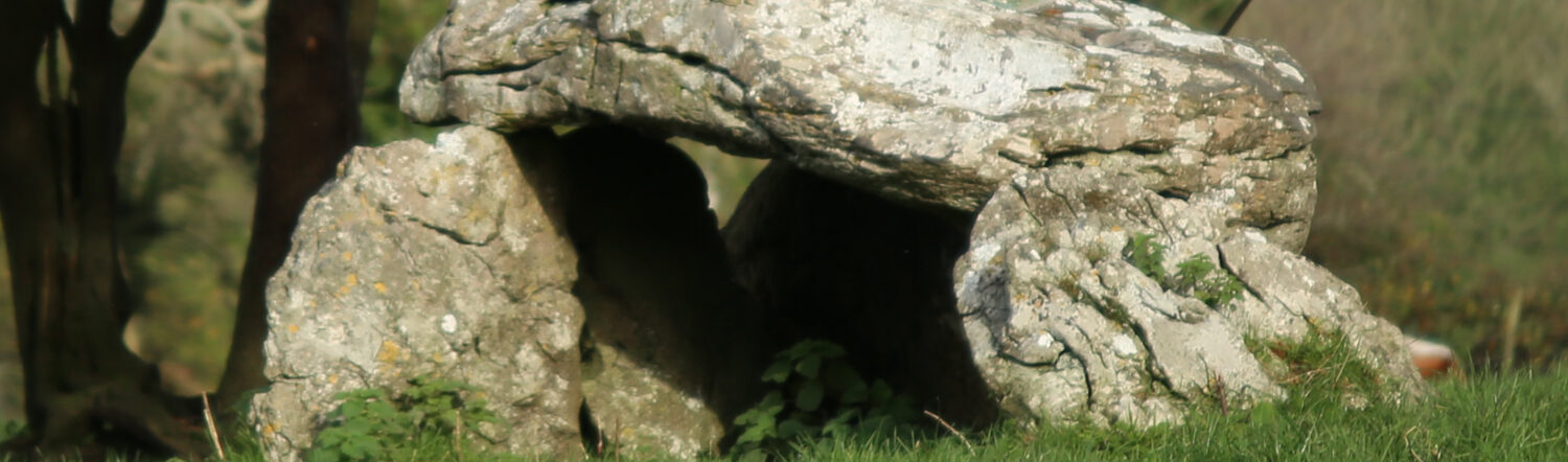 Kilbeg Wedge Tomb.