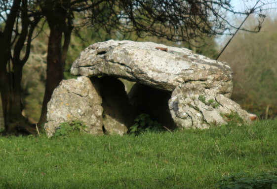 Kilbeg Wedge Tomb.