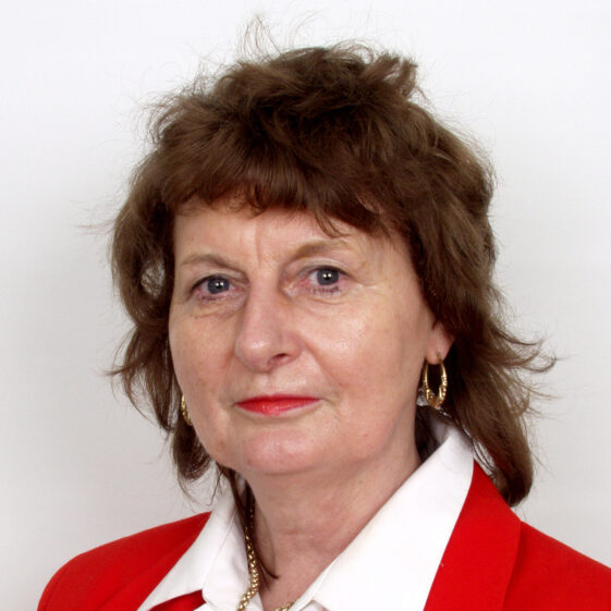 Ann Ruane-Divilly, Colmanstown
Teacher at New Inn VEC