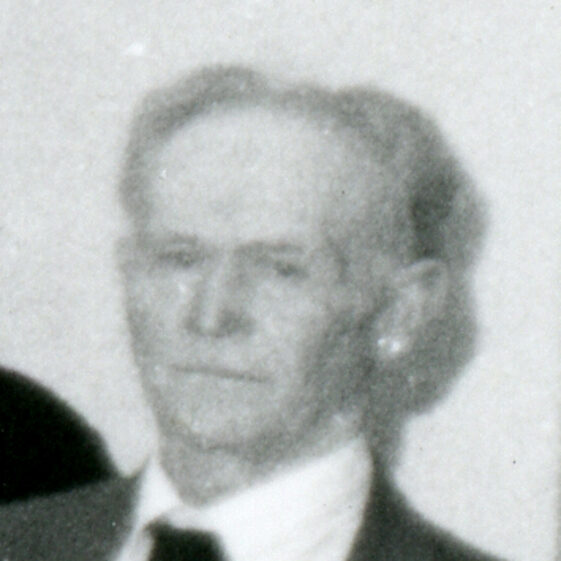 Tommie Conneely
Windfield Demesne