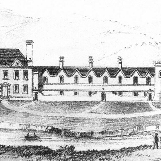 Ashford - Browne Ashford - Browne | Courtesy Patrick Melvin & Éamonn de Búrca