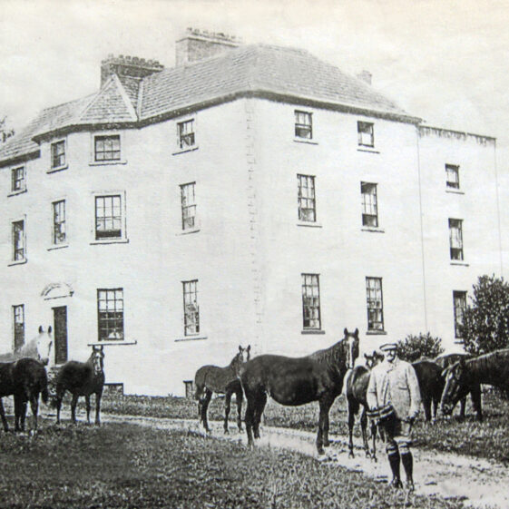 Ballydugan Burke Ballydugan - Burke | Courtesy Patrick Melvin & Éamonn de Búrca