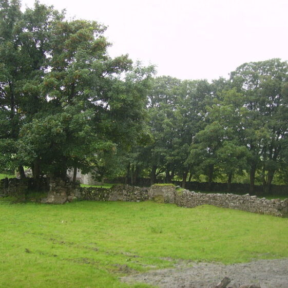 DIGITAL CAMERA Blindwell - Kirwan | Courtesy Jimmy Laffey