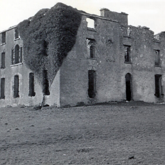 Castle Moyle Deane Browne Castle Moyle - Deane, Browne, Blake | Courtesy Patrick Melvin & Éamonn de Búrca