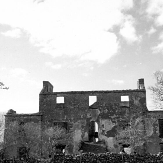 Castle Town Echlin Bodkin Vesey Laverlock Castle Town - Echlin, Bodkin, Vesey, Laverlock | Courtesy Patrick Melvin & Éamonn de Búrca