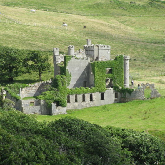 Clifden Castle Clifden Castle- D'arcy, Eyre. | Courtesy Landed Estates Database.