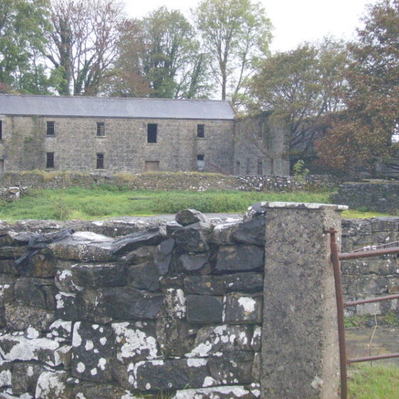 DIGITAL CAMERA Colmanstown - French, Barrington, Smith | Courtesy Jimmy Laffey