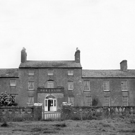 Flower Hill - Nugent Flower Hill - Nugent | Courtesy Patrick Melvin & Éamonn de Búrca