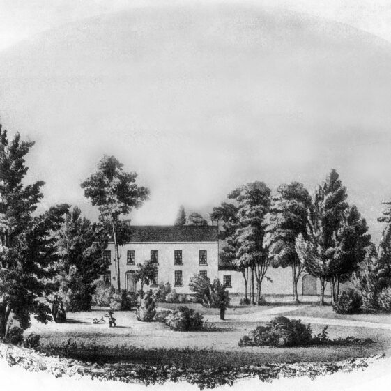 Gardenfield - Kirwan Gardenfield - Kirwan | Courtesy Patrick Melvin & Éamonn de Búrca
