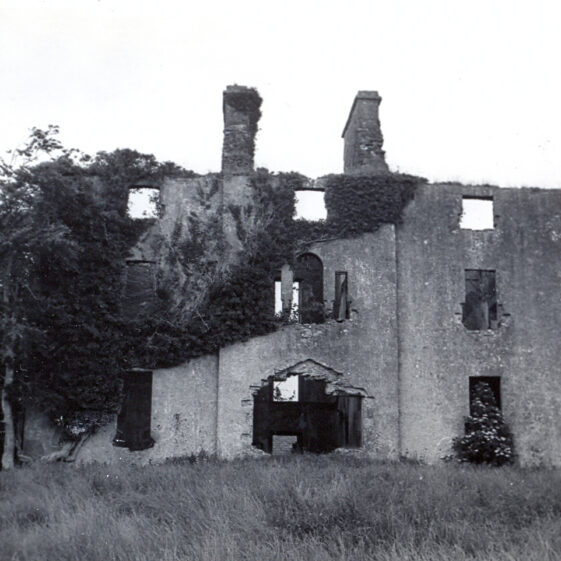 Killagh - Donelan Killagh - Donelan | Courtesy Patrick Melvin & Éamonn de Búrca