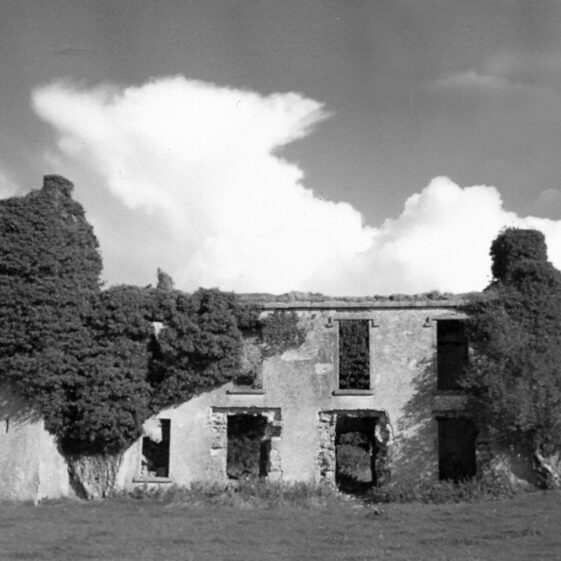 Lydacan - Lynch Lydacan - Lynch | Courtesy Patrick Melvin & Éamonn de Búrca