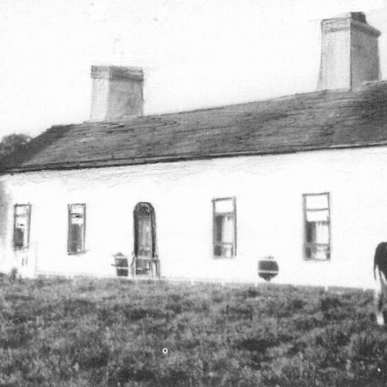 Mount Kelly Drum - Kelly Bellew Browne Mount Kelly (Drum) - Kelly, Bellew, Browne | Courtesy Patrick Melvin & Éamonn de Búrca