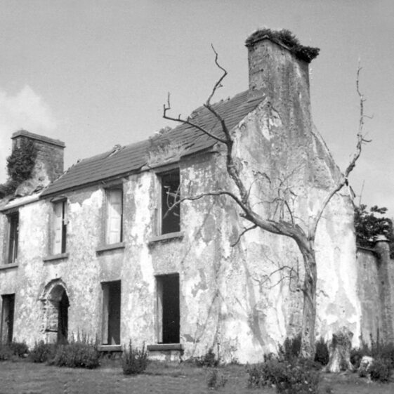 Petersburgh - Lynch Petersburgh - Lynch | Courtesy Patrick Melvin & Éamonn de Búrca