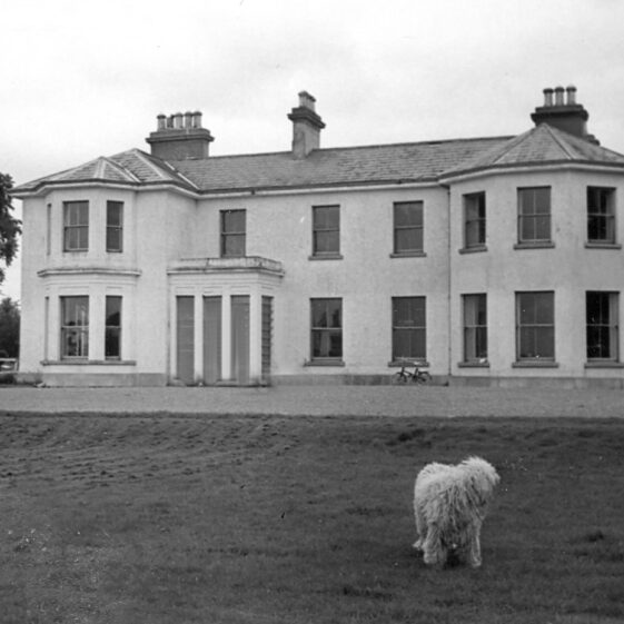 Raheen - Lopdell Raheen - Lopdell | Courtesy Patrick Melvin & Éamonn de Búrca