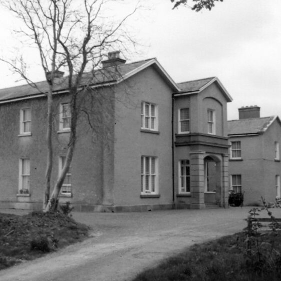 Toghermore Henry Toghermore - Henry | Courtesy Patrick Melvin & Éamonn de Búrca