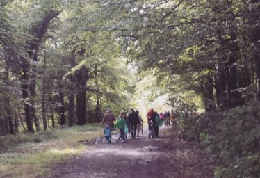 Woodlawn Forestry