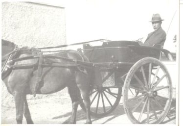 Richard Seale, c. 1946 on a cart, pulled by horse