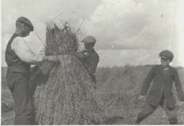 Harvest Time