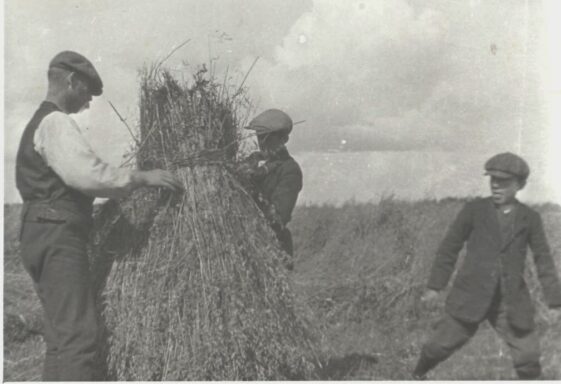 Harvest Time