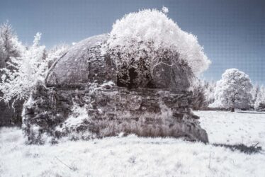 Winter Image of Ice House, Woodlawn | Frank Nevin