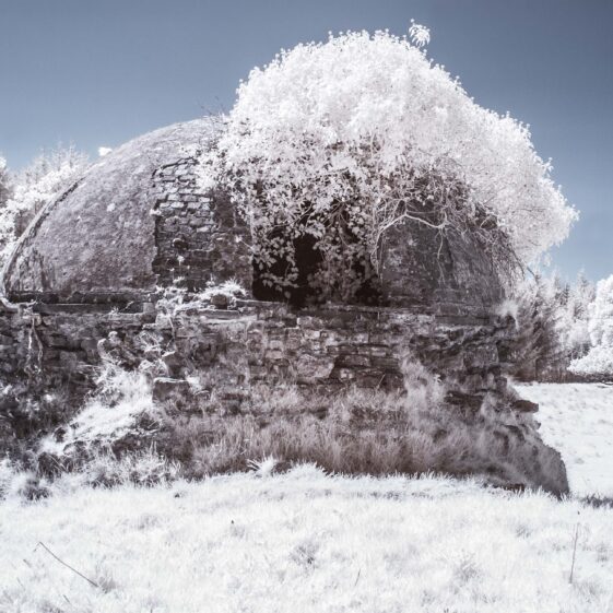 Winter Image of Ice House, Woodlawn | Frank Nevin