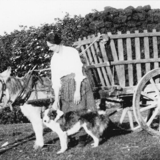 Bringing Home Turf, Mary Burke 1926 | Patricia Greber