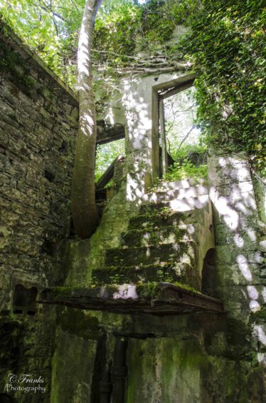 Steps from upper floor of mill leading to hack yard. | Frank Nevin