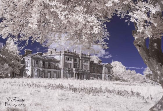 Woodlawn House
