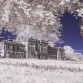 Woodlawn House