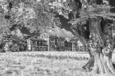 Woodlawn House  | Frank Nevin