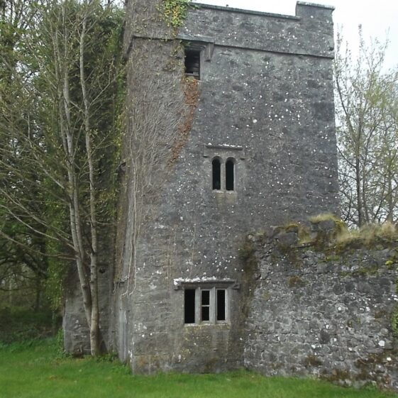 grococks-castle Looking west showing Recorded Monument GA 086:251, Grocock's Castle | B.Doherty, 2015
