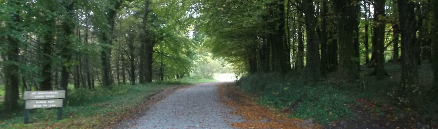 Nature Trail