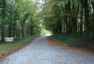 Nature Trail