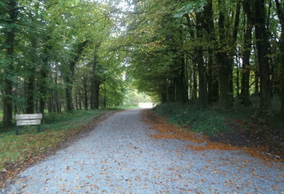Nature Trail