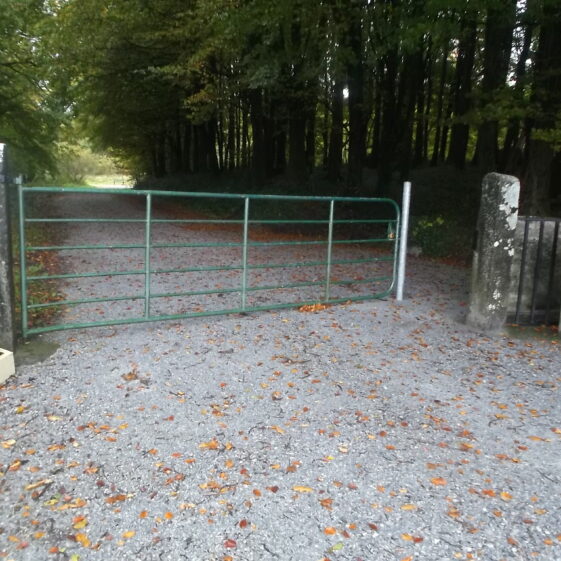 Wheelchair and buggy friendly access at Woodlawn Woods | B. Doherty 2016