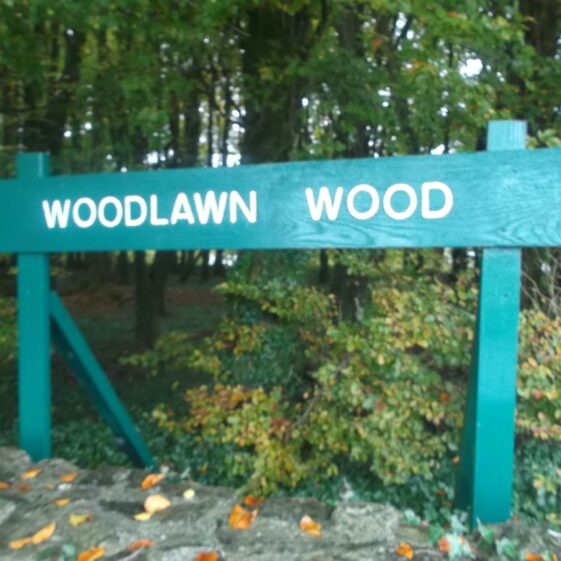 Woodlawn Wood, Eastern entrance | B. Doherty