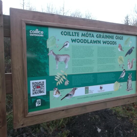 Woodlawn Woods Nature Trail Sign showing birds, trees and wildlife | B. Doherty