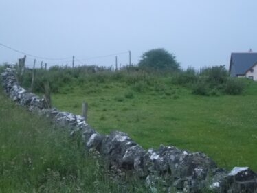 Looking west showing Children's burial ground, Carrownea