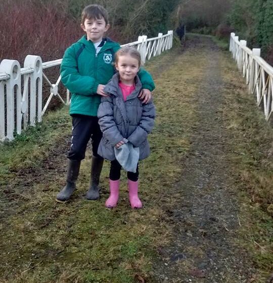The White Bridge, Woodlawn 2016 | Grainne Mc Gann