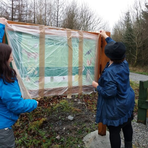 20170307_112541 Elaine O' Riordan, Galway Co. Co. & Carrie O'Sullivan, Artist unveil the sign