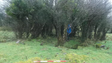 Copse of trees around Killaan Holy Well. Christy Cunniffe in blue coat