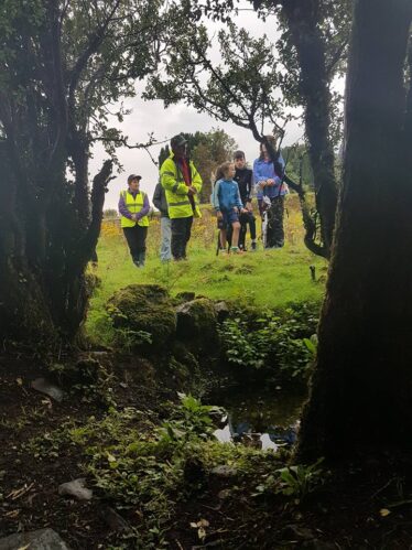 Reflections in Holy Well, Killaan