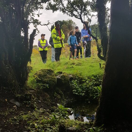 Reflections in Holy Well, Killaan | Cathy Seale 2017
