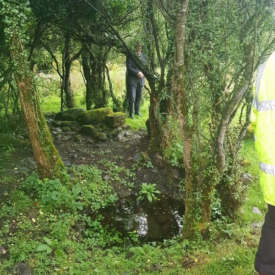 Sheltering amongst bushes at Killaan Holy Well
