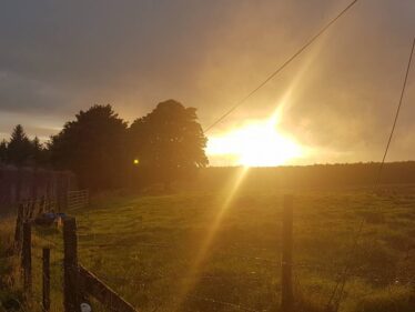Sun setting in Woodlawn