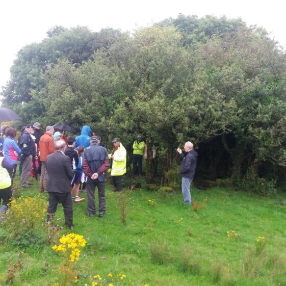 Killaan Holy Well | B. Doherty 2017