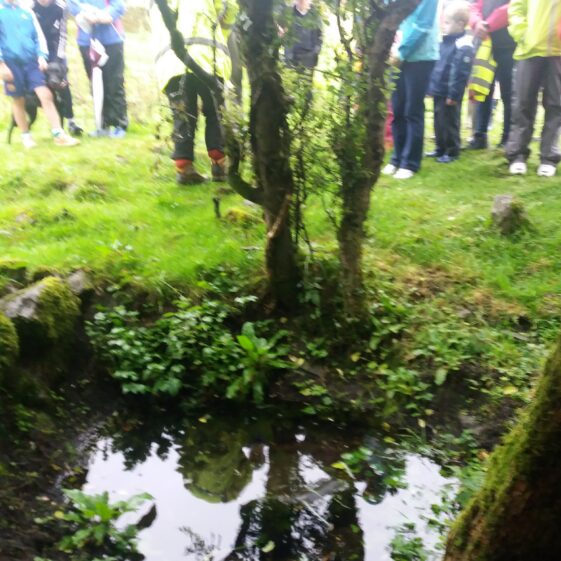 Water reflections in the well at killaan | B. Doherty 2017