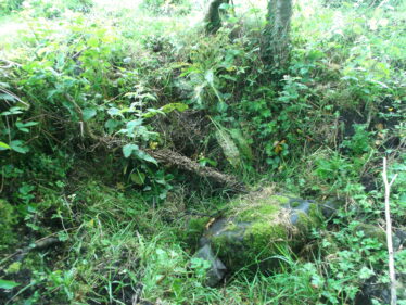 Looking east showing overgrowth within the well prior to clearance